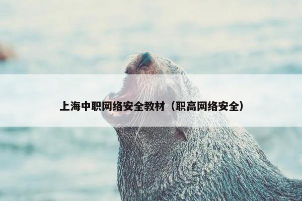上海中职网络安全教材（职高网络安全）