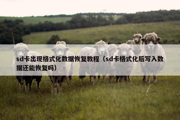 sd卡出现格式化数据恢复教程（sd卡格式化后写入数据还能恢复吗）