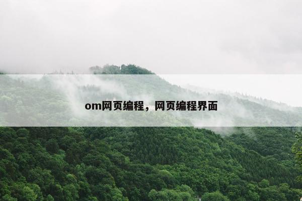 om网页编程，网页编程界面