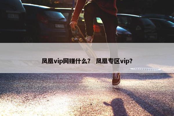 凤凰vip网赚什么？ 凤凰专区vip？