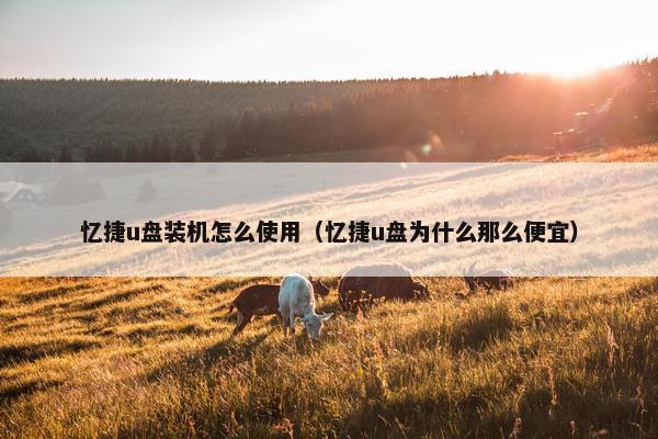 忆捷u盘装机怎么使用（忆捷u盘为什么那么便宜）