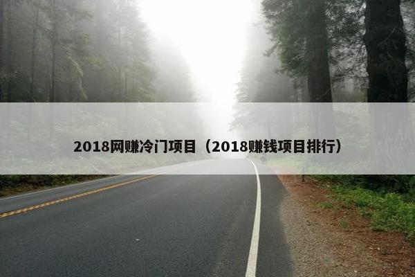 2018网赚冷门项目（2018赚钱项目排行）