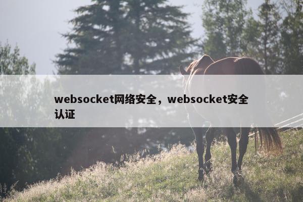 websocket网络安全，websocket安全认证