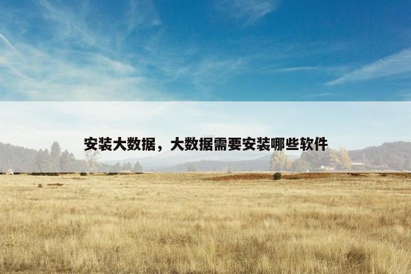 安装大数据，大数据需要安装哪些软件