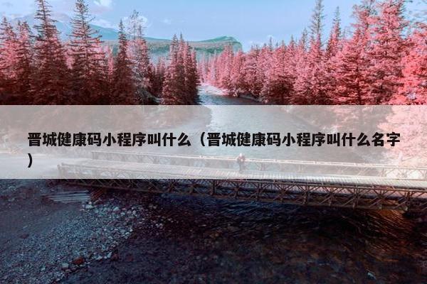 晋城健康码小程序叫什么（晋城健康码小程序叫什么名字）