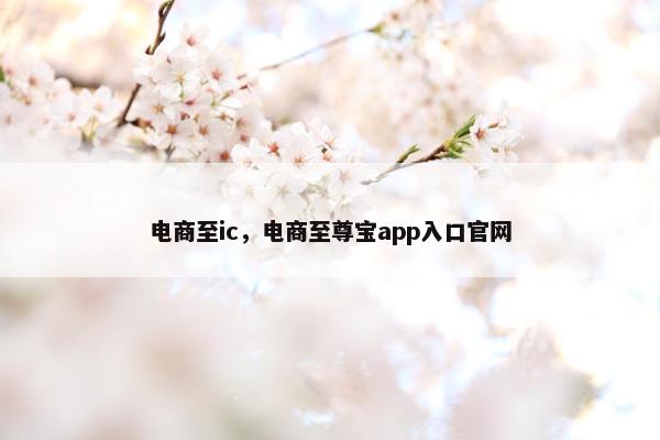 电商至ic，电商至尊宝app入口官网