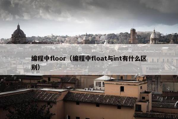 编程中floor（编程中float与int有什么区别）