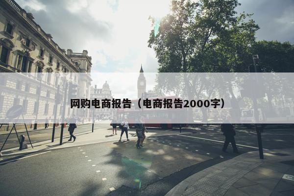 网购电商报告（电商报告2000字）