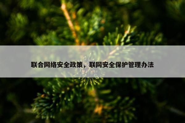 联合网络安全政策，联网安全保护管理办法