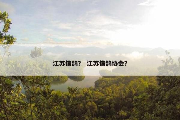 江苏信鸽？ 江苏信鸽协会？