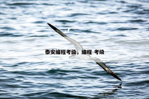 泰安编程考级，编程 考级