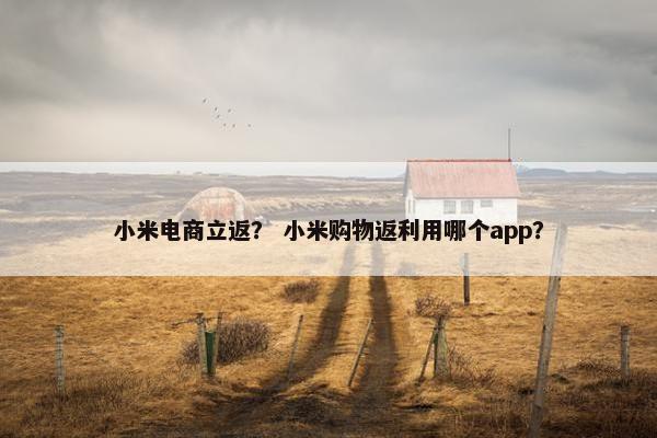 小米电商立返？ 小米购物返利用哪个app？