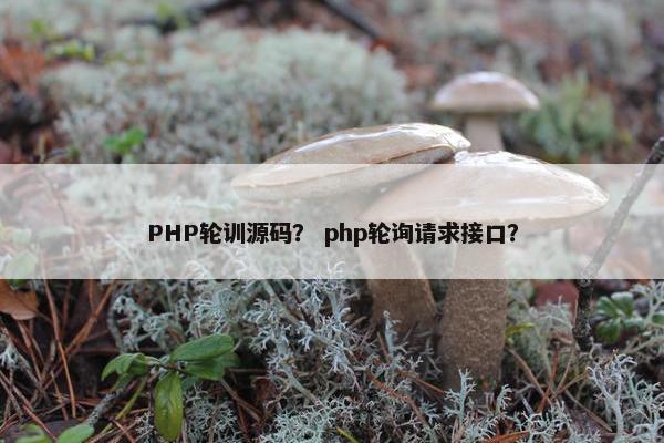 PHP轮训源码？ php轮询请求接口？