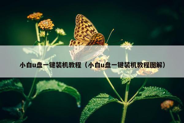 小白u盘一键装机教程（小白u盘一键装机教程图解）