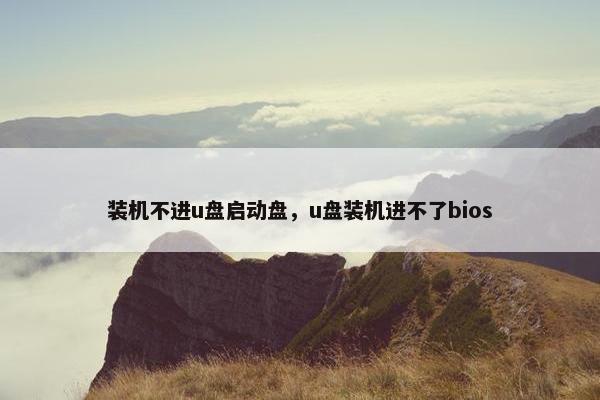 装机不进u盘启动盘，u盘装机进不了bios
