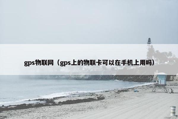 gps物联网（gps上的物联卡可以在手机上用吗）