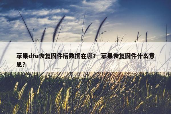 苹果dfu恢复固件后数据在哪？ 苹果恢复固件什么意思？
