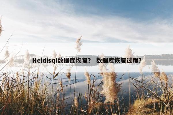 Heidisql数据库恢复？ 数据库恢复过程？