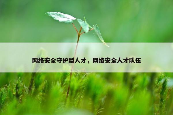 网络安全守护型人才，网络安全人才队伍