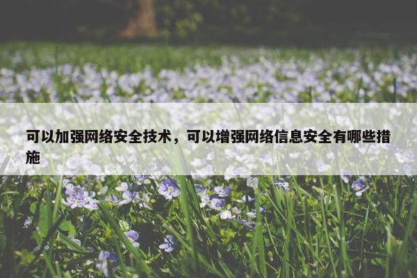 可以加强网络安全技术，可以增强网络信息安全有哪些措施