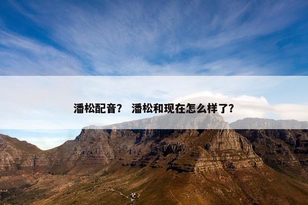 潘松配音？ 潘松和现在怎么样了？