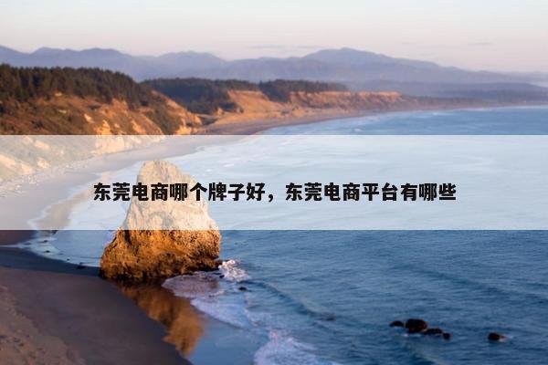 东莞电商哪个牌子好，东莞电商平台有哪些