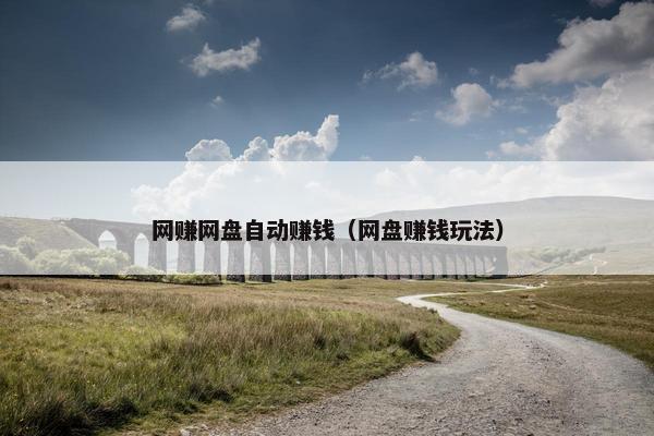 网赚网盘自动赚钱（网盘赚钱玩法）