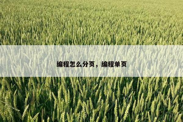 编程怎么分页，编程单页