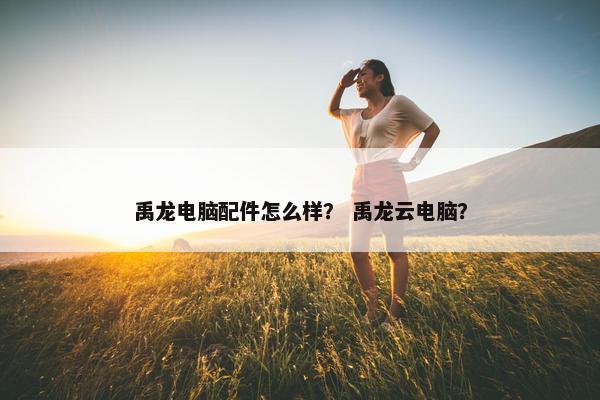 禹龙电脑配件怎么样？ 禹龙云电脑？