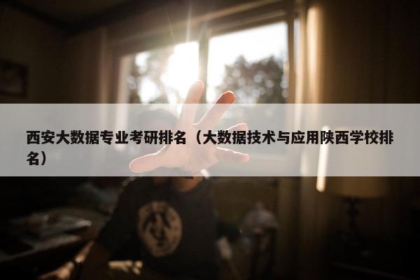 西安大数据专业考研排名（大数据技术与应用陕西学校排名）