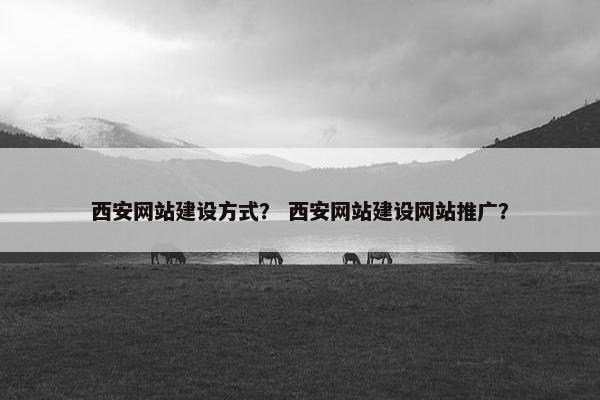 西安网站建设方式？ 西安网站建设网站推广？