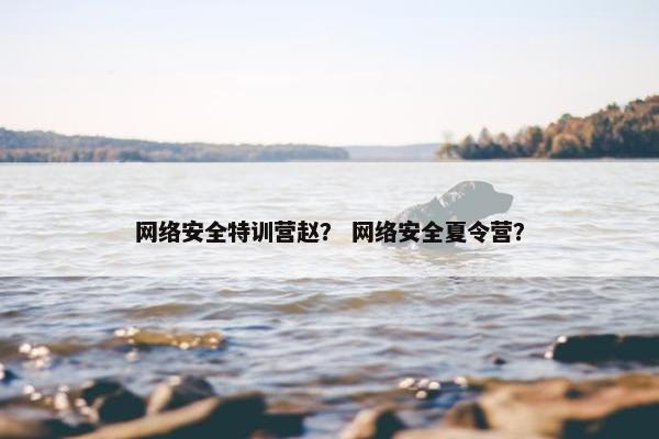 网络安全特训营赵？ 网络安全夏令营？