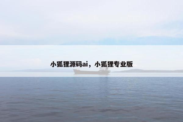 小狐狸源码ai，小狐狸专业版