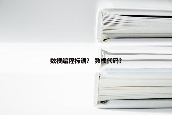 数模编程标语？ 数模代码？