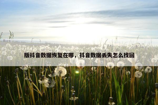 版抖音数据恢复在哪，抖音数据丢失怎么找回