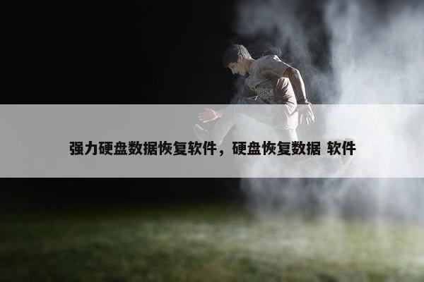 强力硬盘数据恢复软件，硬盘恢复数据 软件