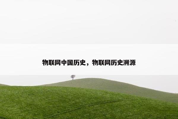 物联网中国历史，物联网历史溯源