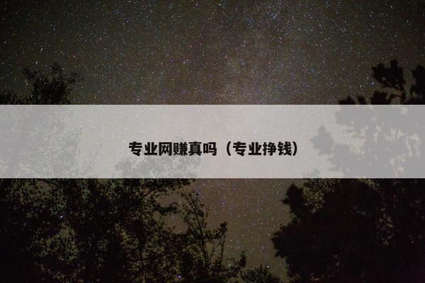 专业网赚真吗（专业挣钱）