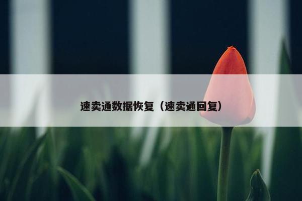 速卖通数据恢复（速卖通回复）