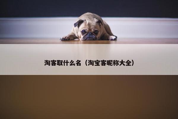 淘客取什么名（淘宝客昵称大全）