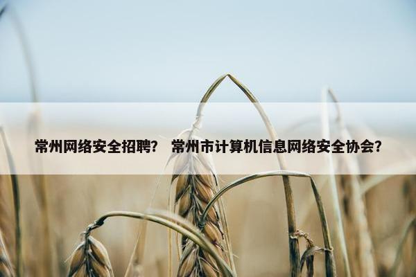 常州网络安全招聘？ 常州市计算机信息网络安全协会？
