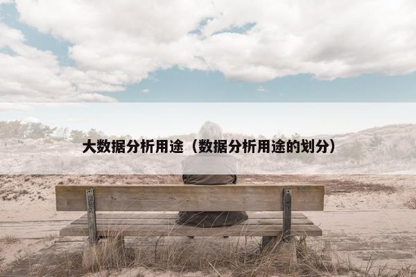 大数据分析用途（数据分析用途的划分）