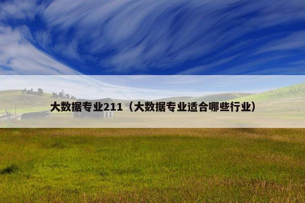 大数据专业211（大数据专业适合哪些行业）