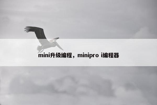 mini升级编程，minipro i编程器