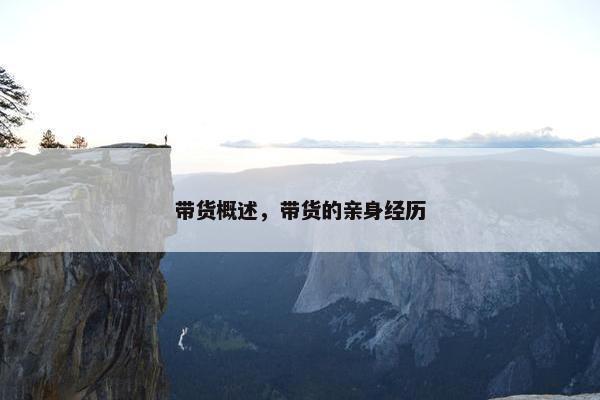 带货概述，带货的亲身经历
