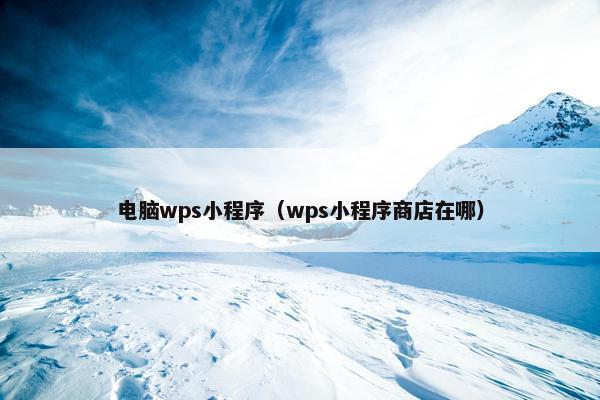 电脑wps小程序（wps小程序商店在哪）