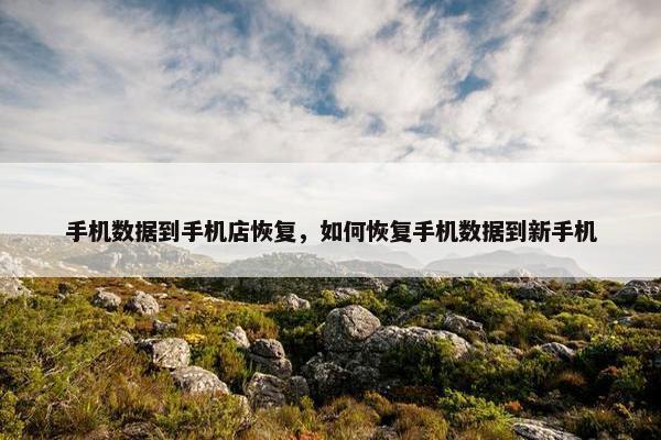 手机数据到手机店恢复，如何恢复手机数据到新手机