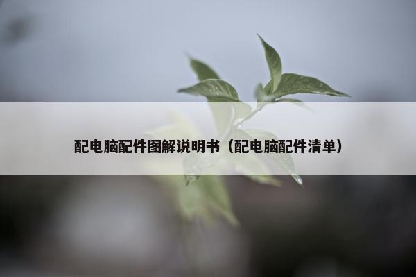 配电脑配件图解说明书（配电脑配件清单）