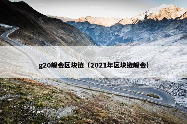 g20峰会区块链（2021年区块链峰会）