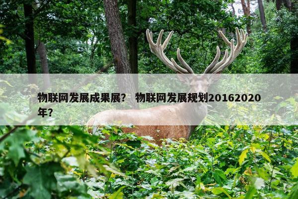 物联网发展成果展？ 物联网发展规划20162020年？